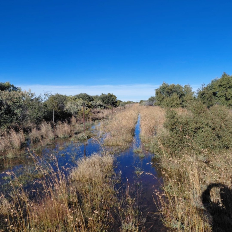 Commercial Property for Sale in Barkly West Rural Northern Cape